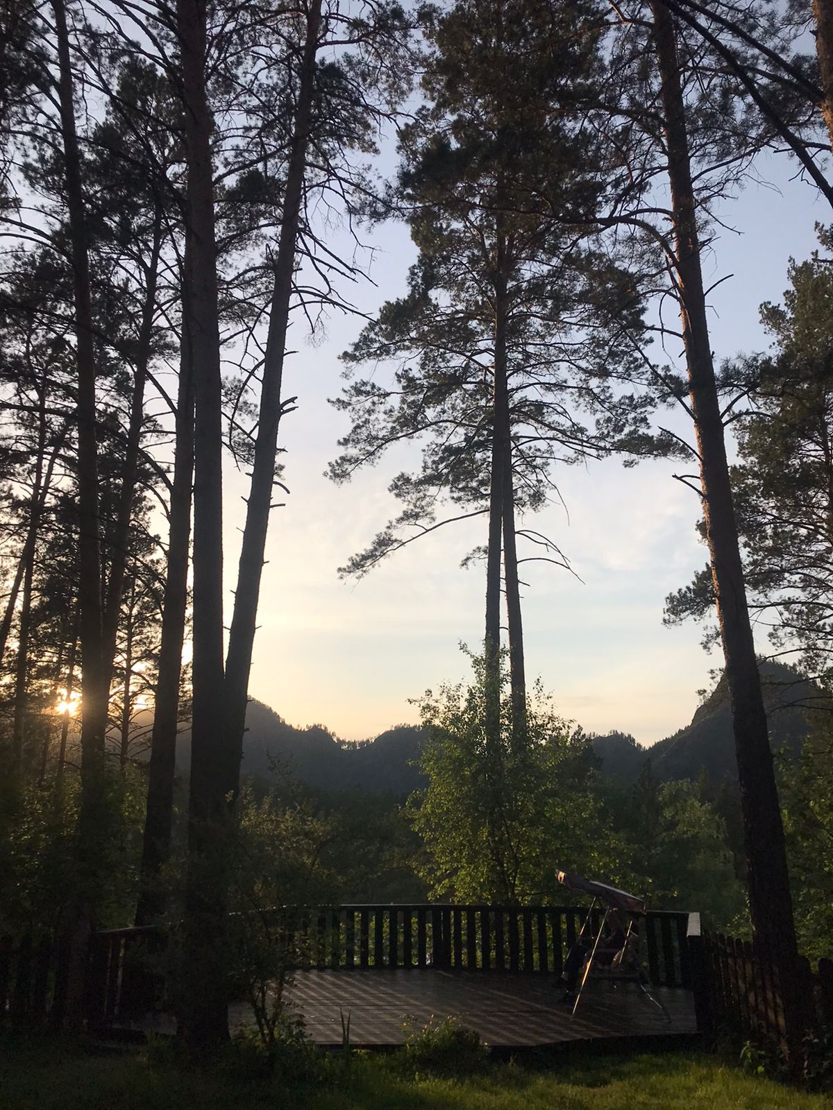 Отель Altai Star