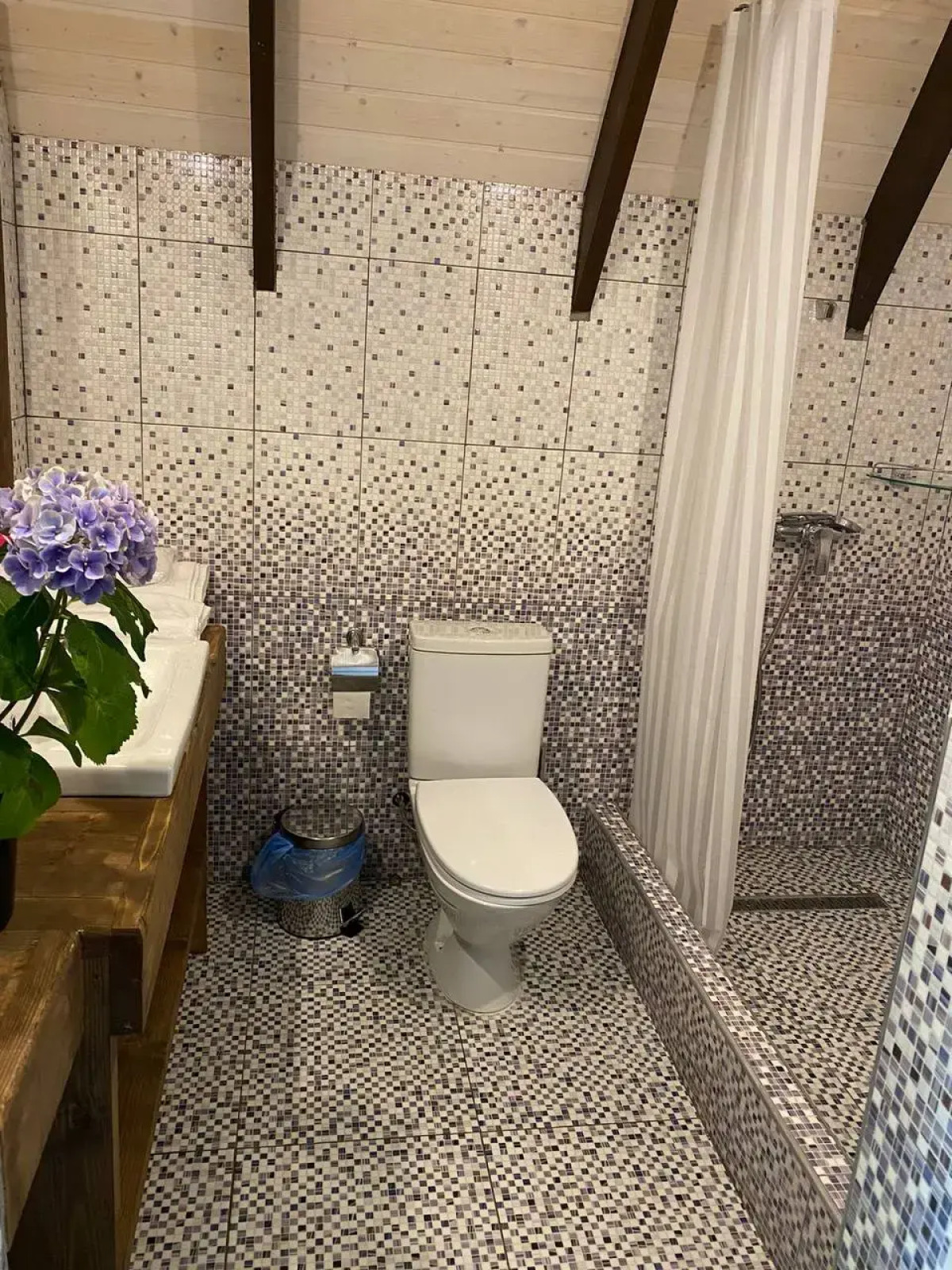 Отель Chalet Bridge Eko