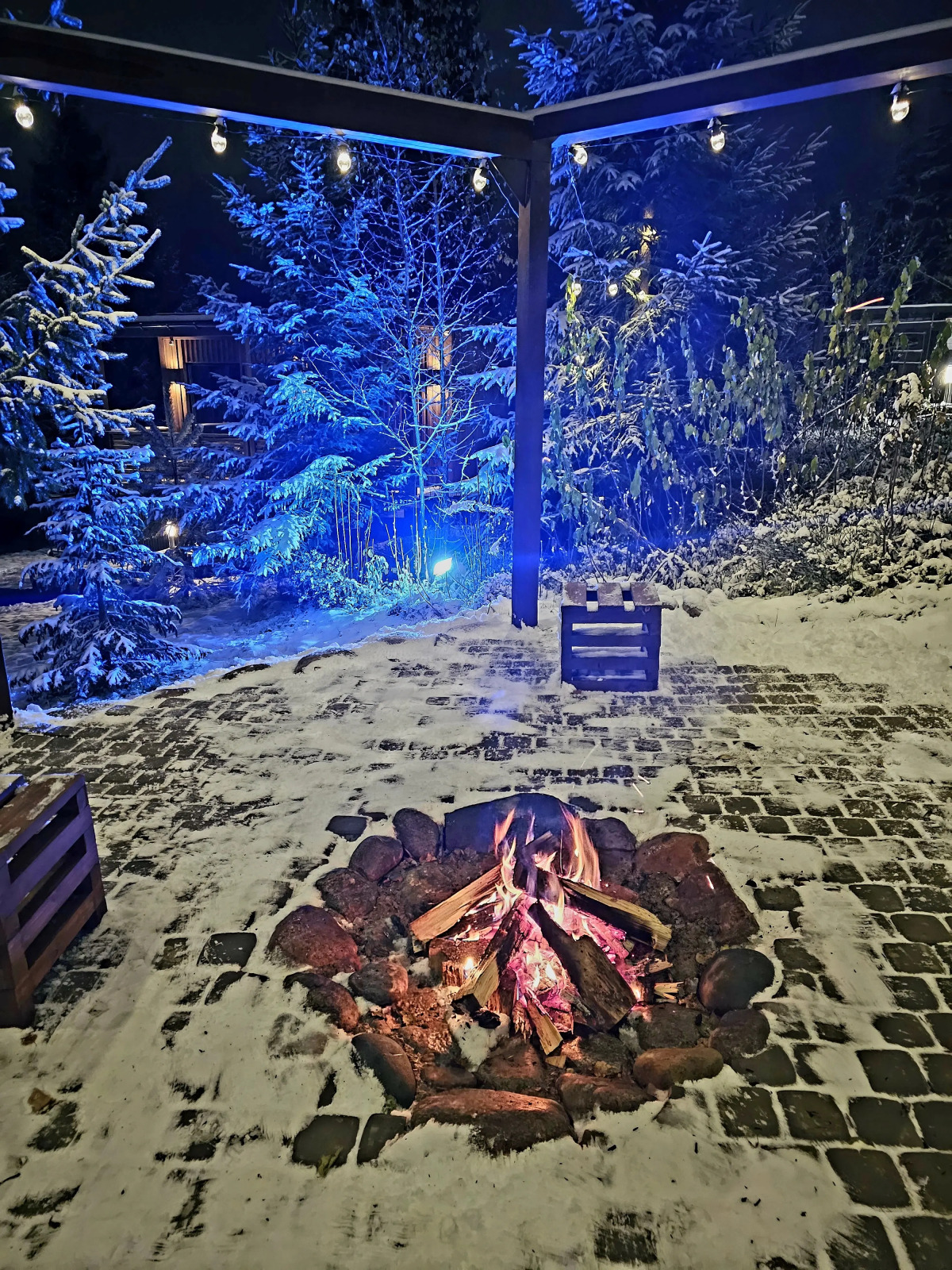 Коттедж Черничный Склон Forest House