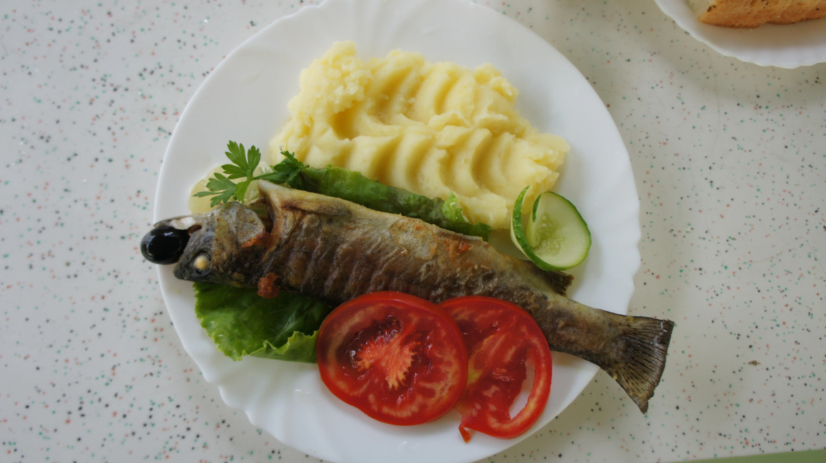 Гостевой дом Лукоморье в Алахадзе