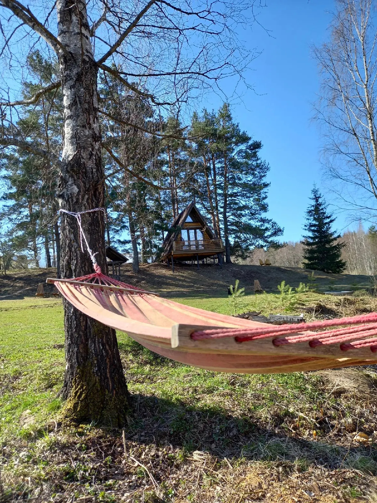 Гостевой дом Под соснами