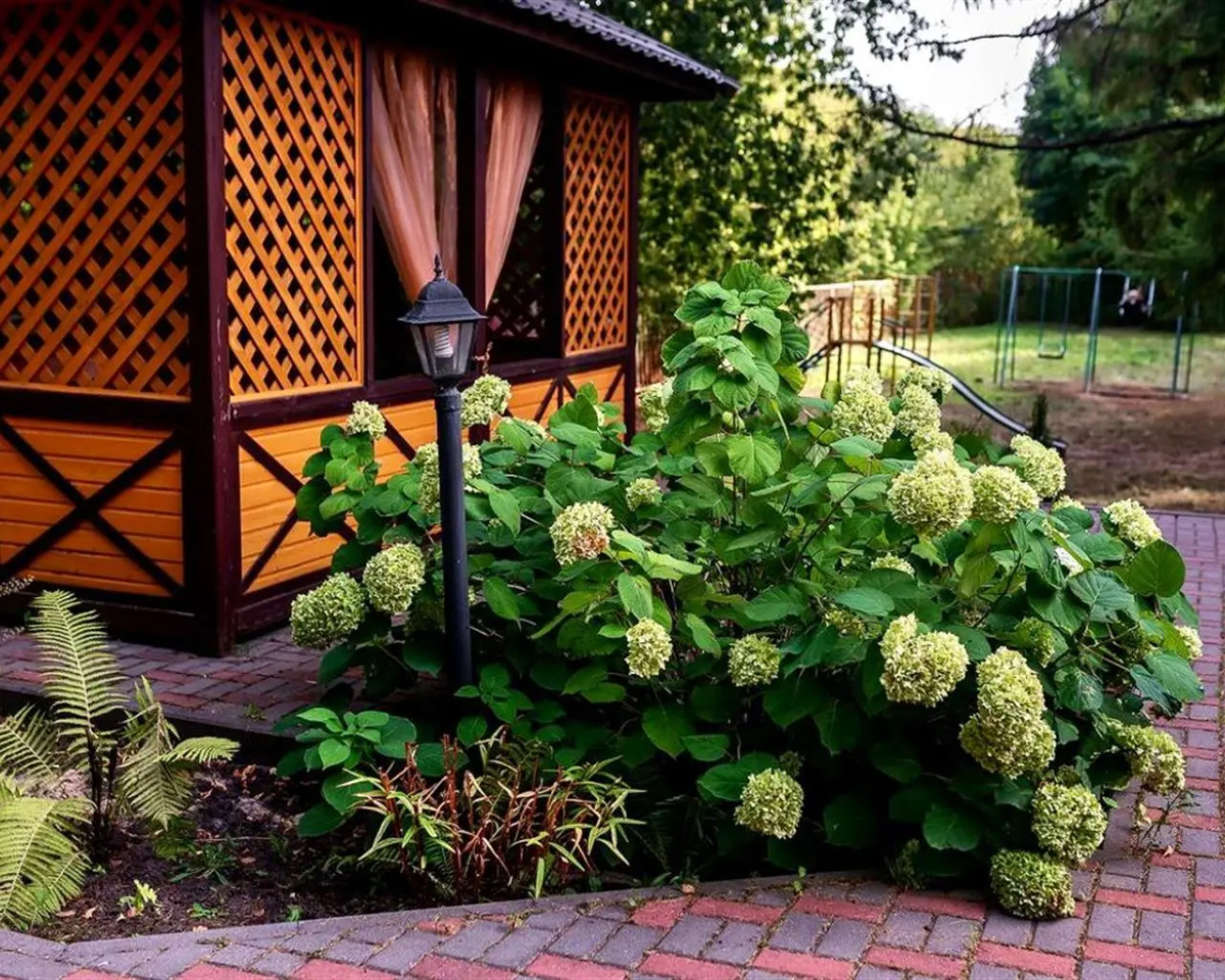 Отель Разгуляй