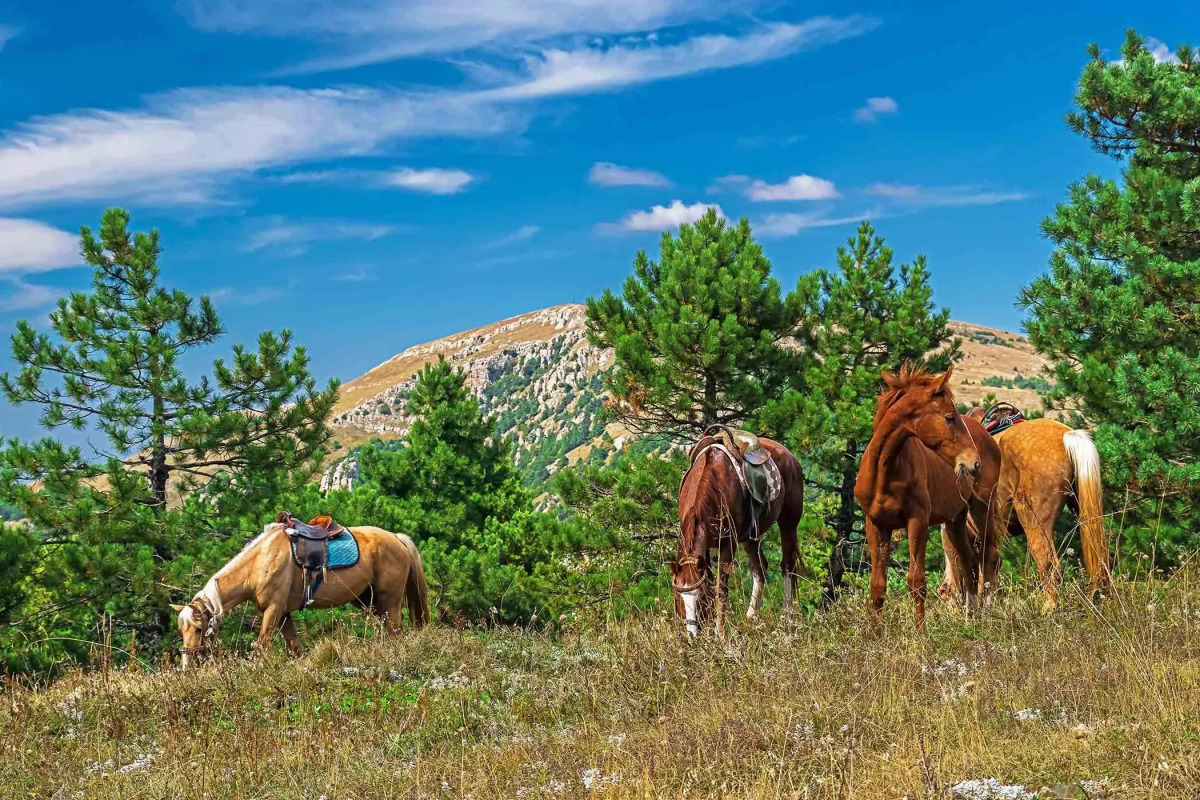 Гостевой Дом Горная Антавия