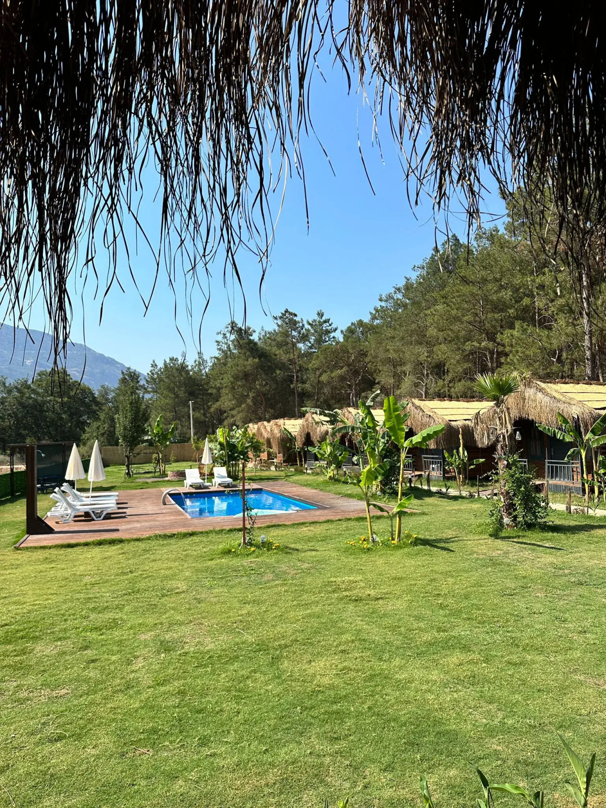 Частный дом Pine Village Bungalows Ölüdeniz