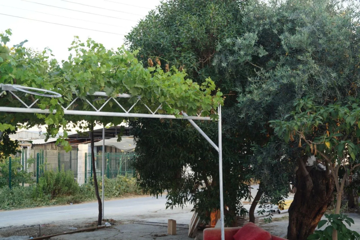 Мини-Отель Sun Rays Kyrenia