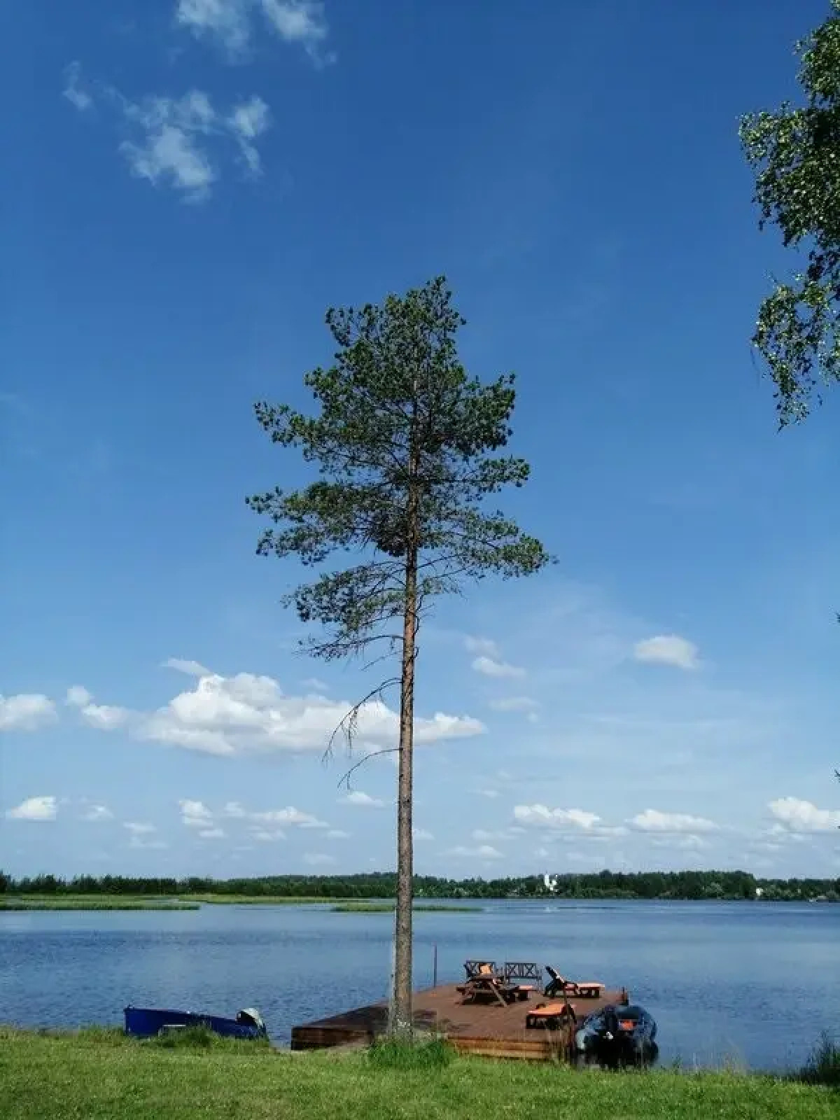 Парк-Отель Вселуг