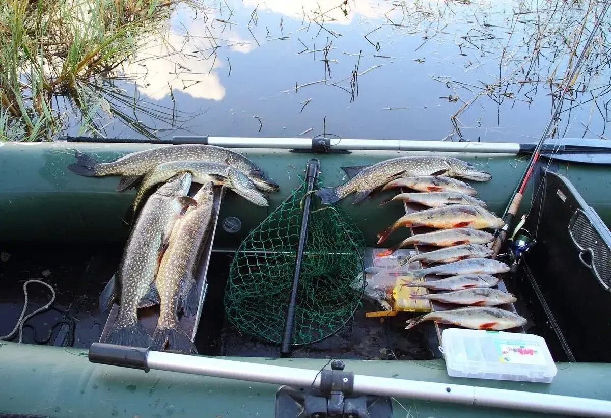 Частный дом РУСЬ