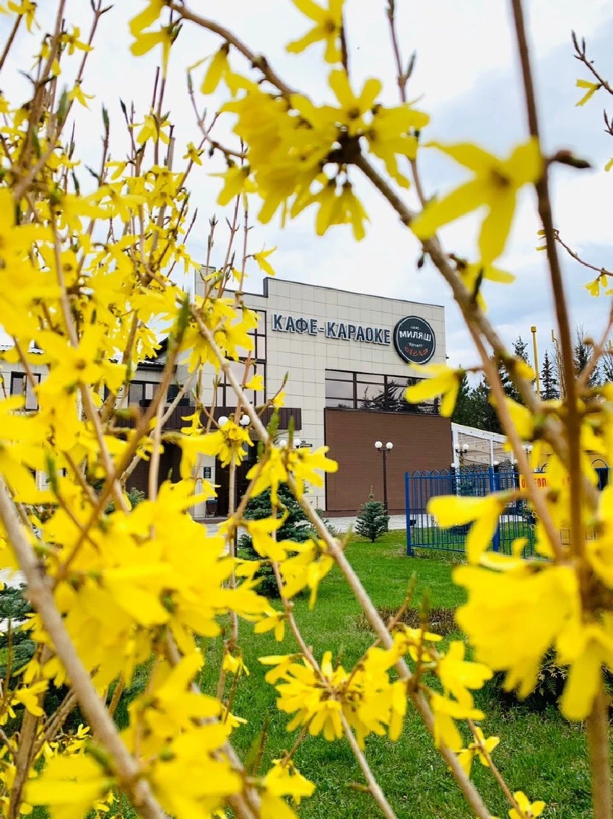 Отель Миляш