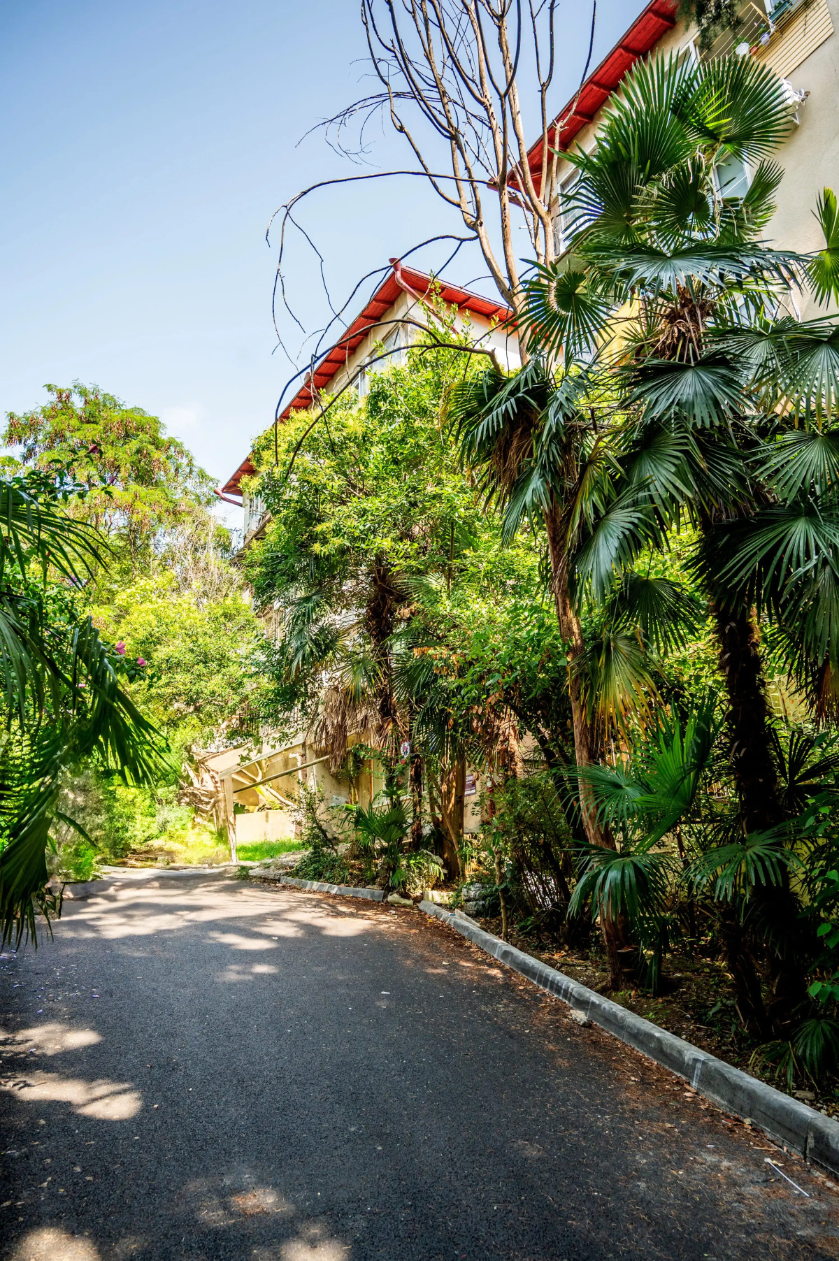 Апартаменты Sun City в центре Сочи