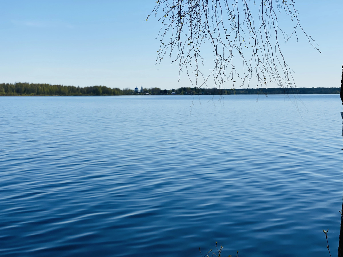 Парк-Отель Вселуг