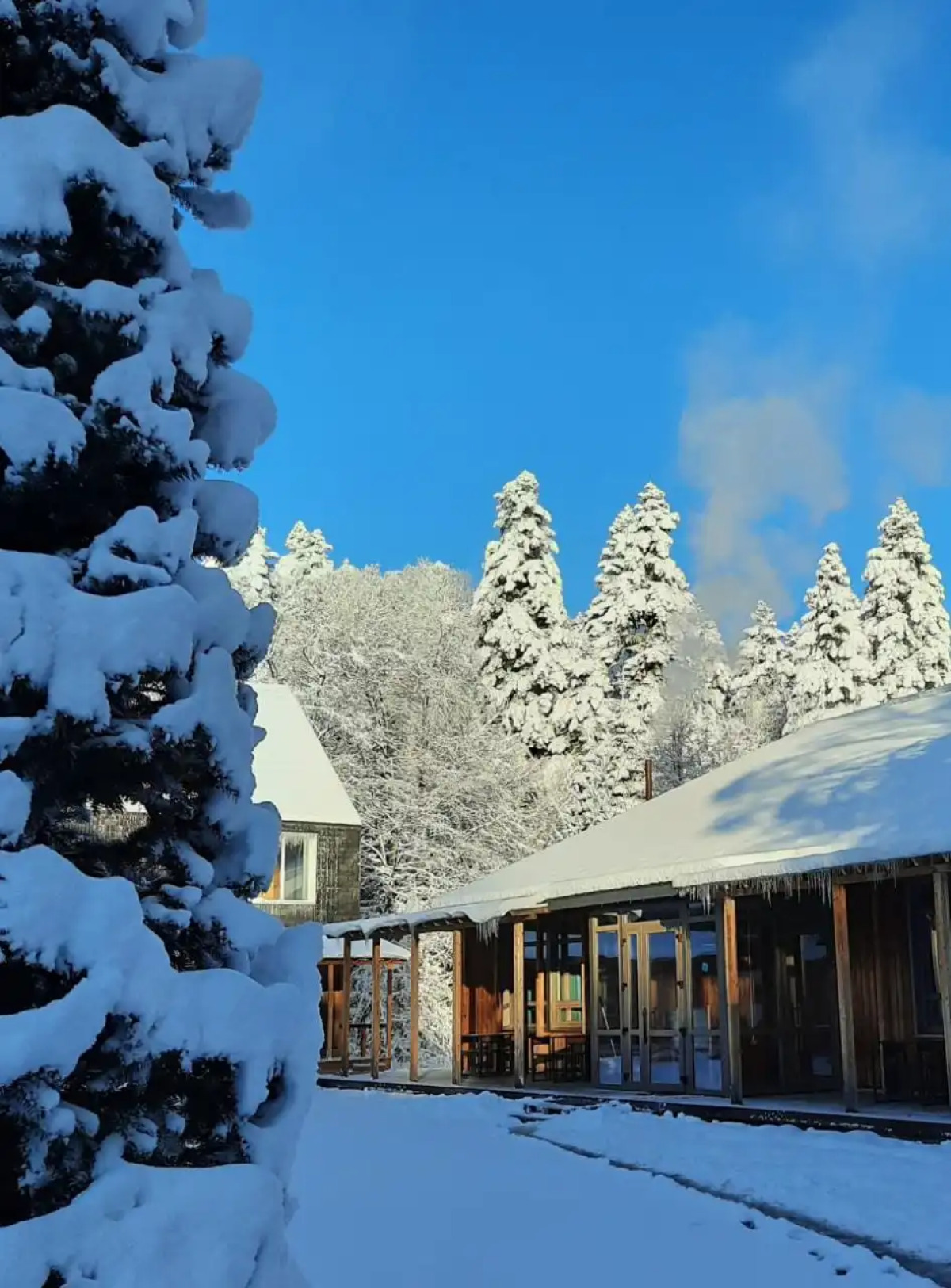 Парк-отель Пихтовый Бор