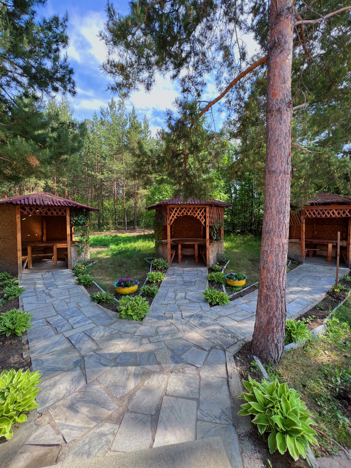 Отель Колизей