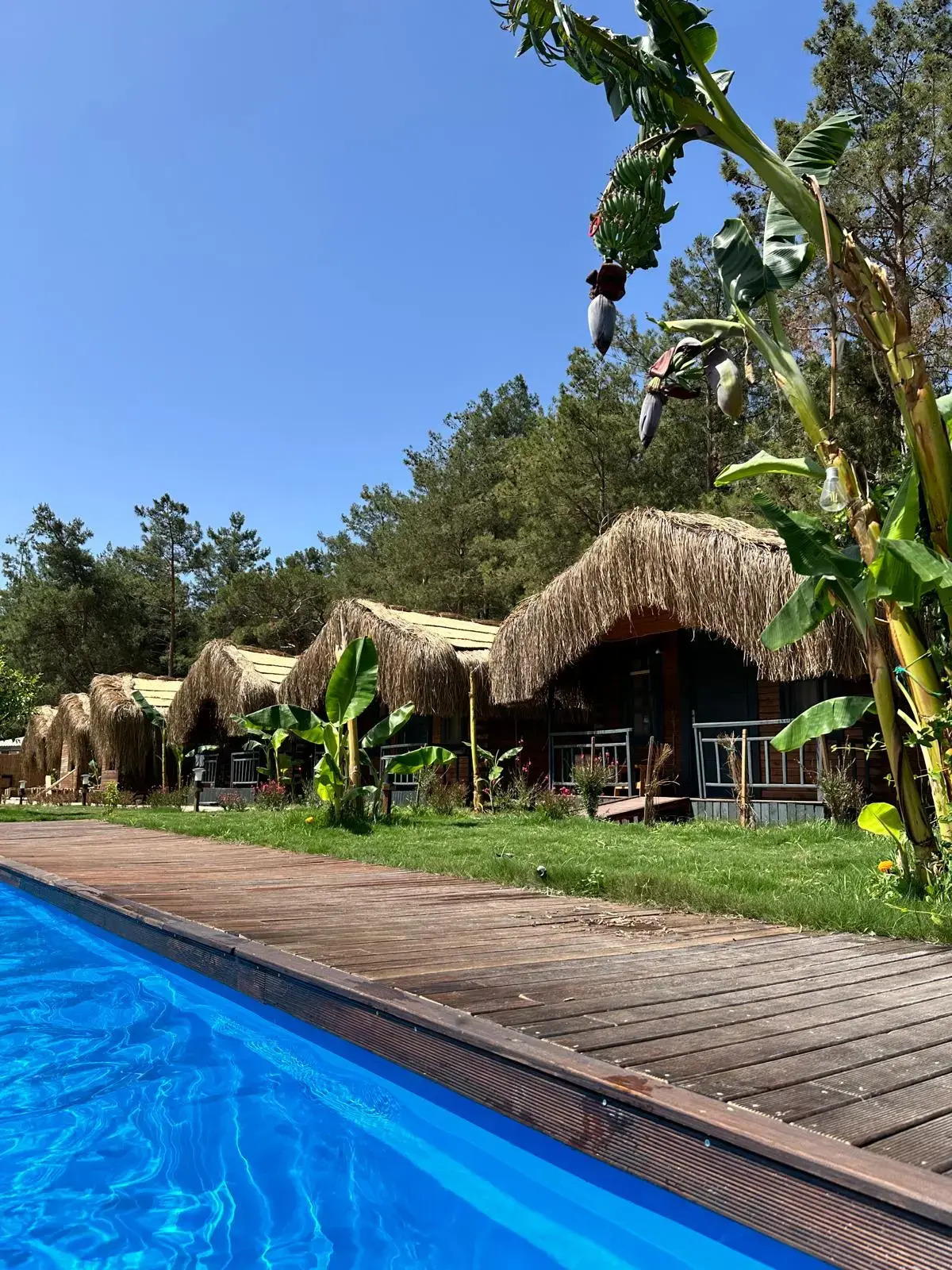 Частный дом Pine Village Bungalows Ölüdeniz