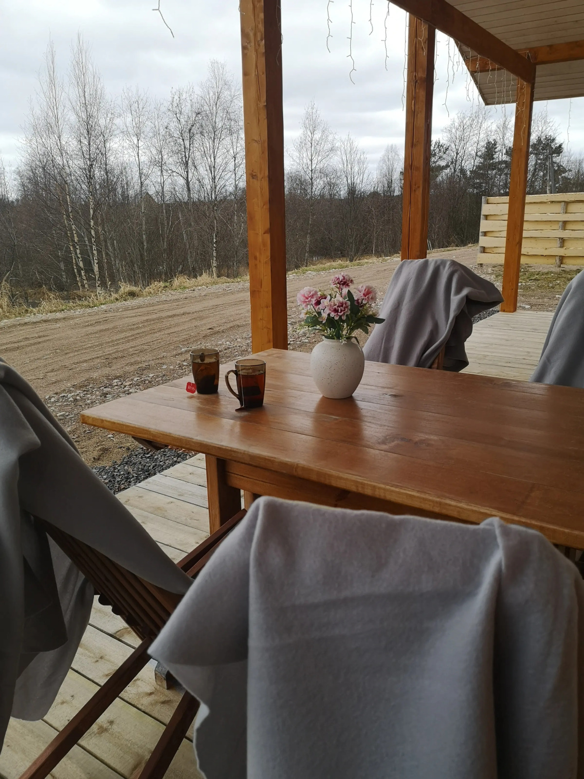 Гостевой дом с сауной и купелью вблизи реки и озера Ладоги Лисий берег