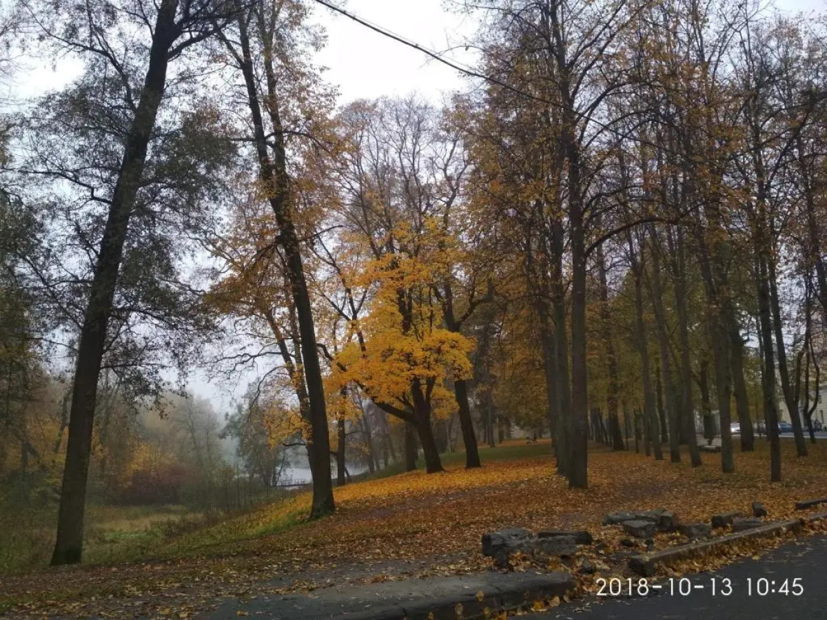 Апартаменты с садом Павловск