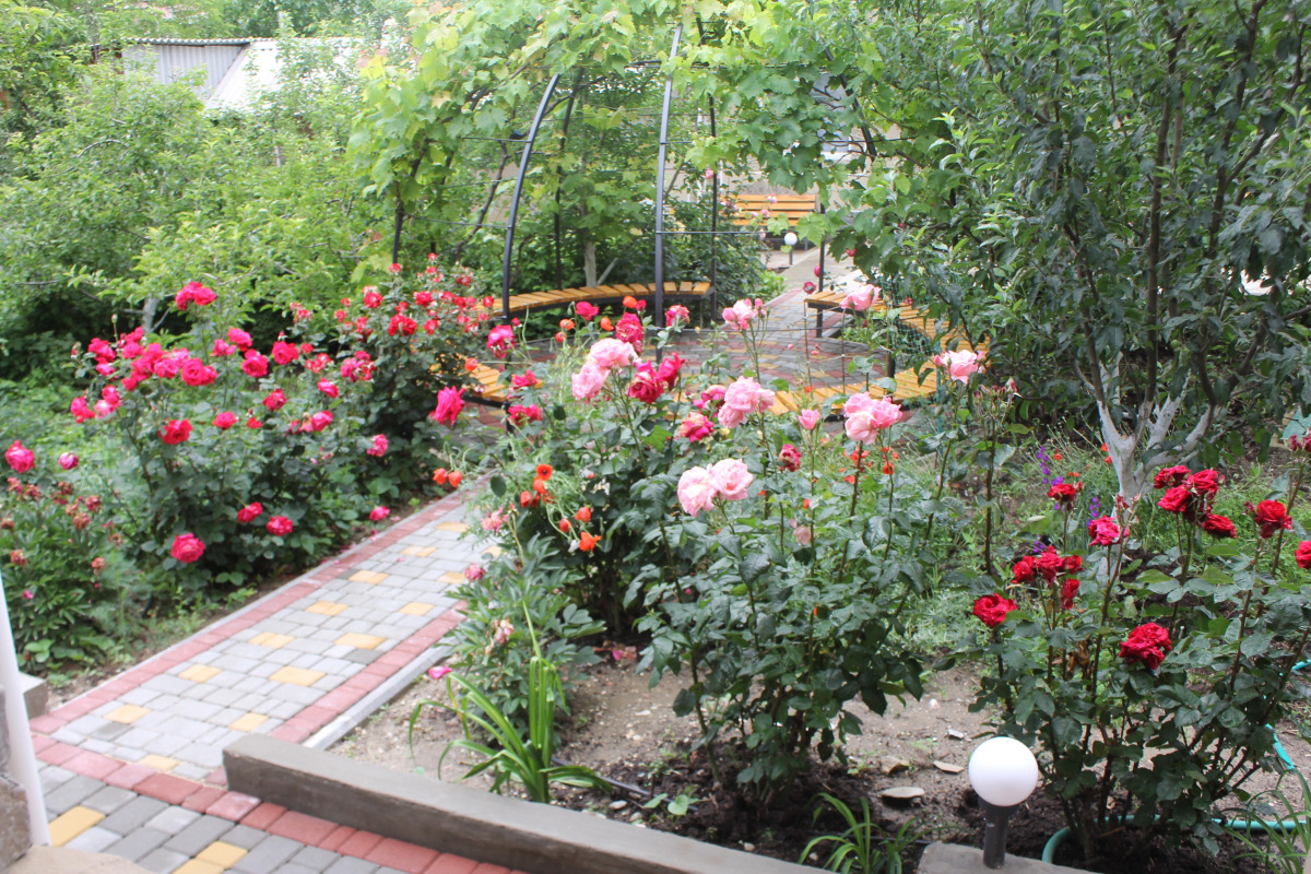 Гостевой Дом Елена