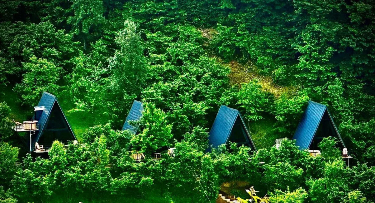 Chalet GreenWood Cottages Merisi