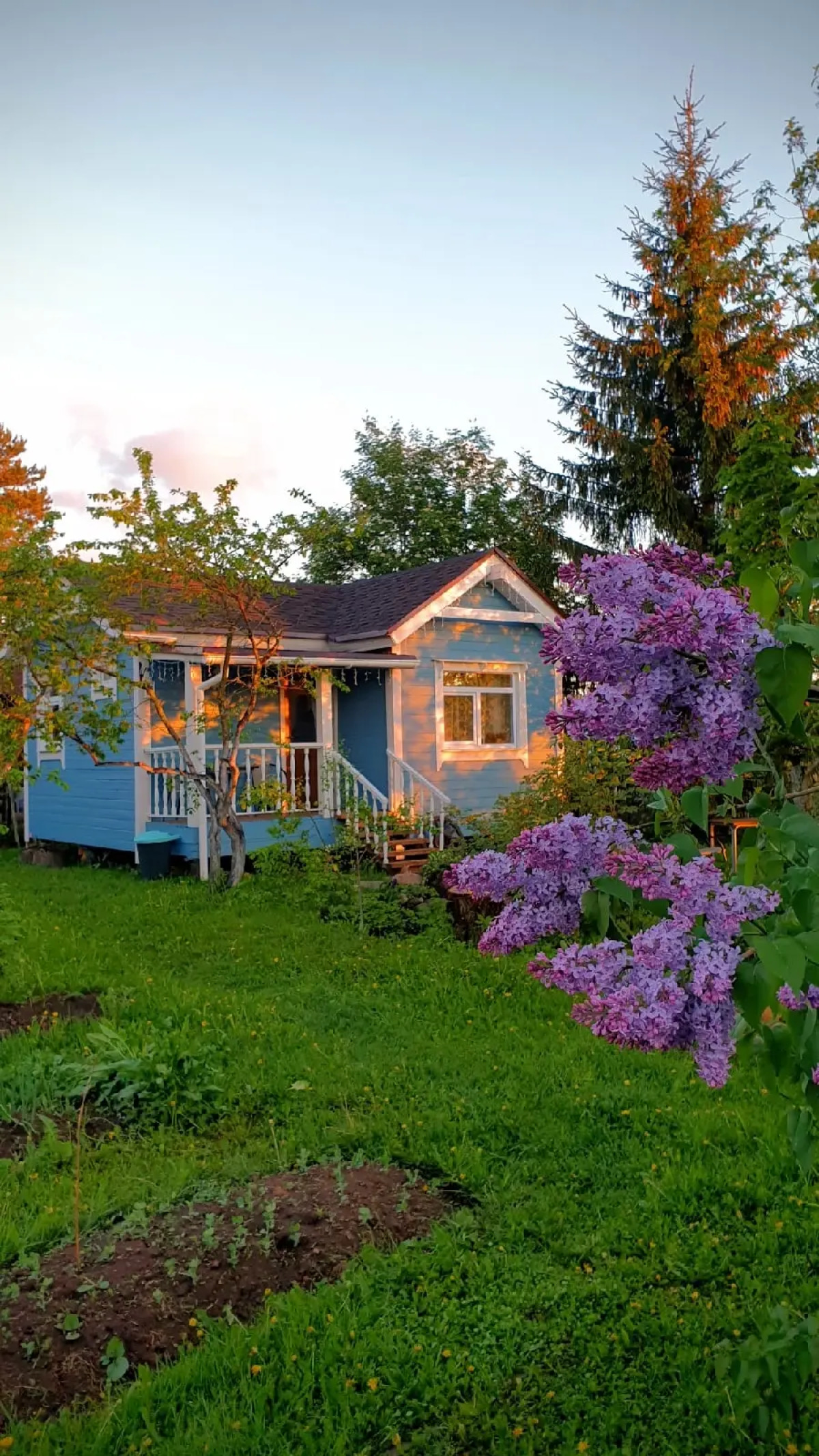 Гостевой дом Лосиный Тупичок