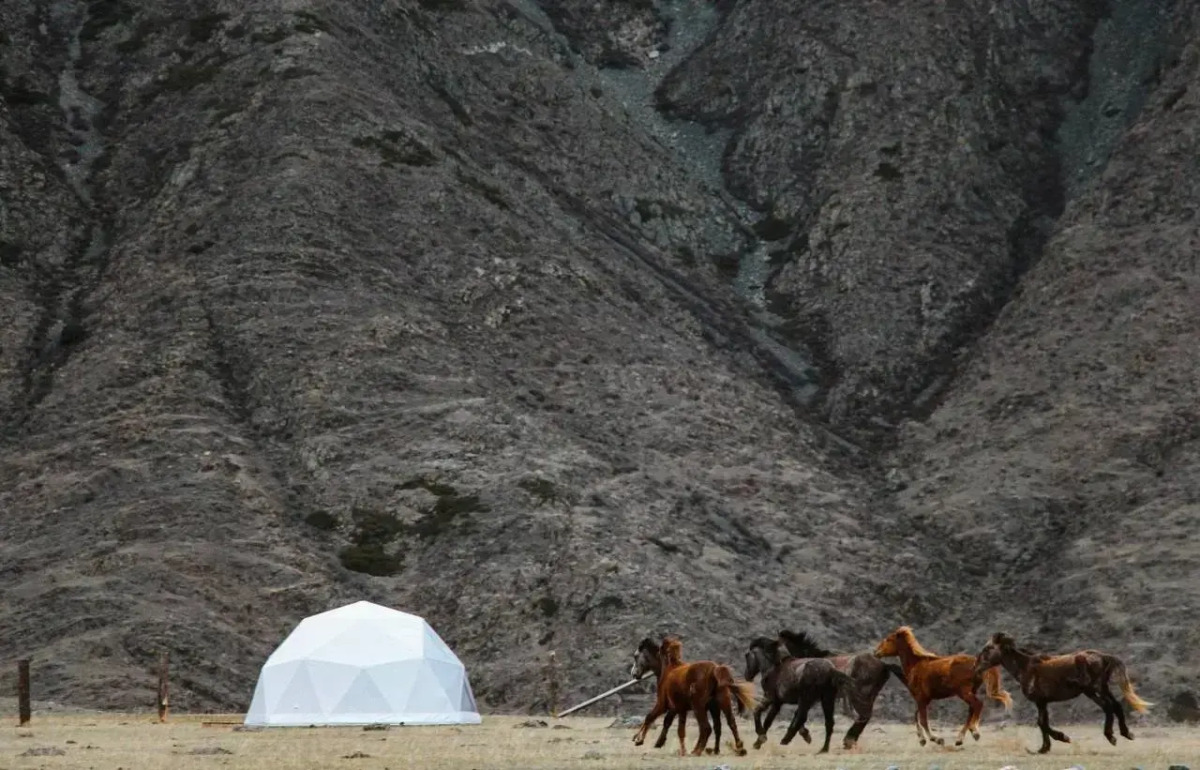 Глэмпинг Brosko Terra