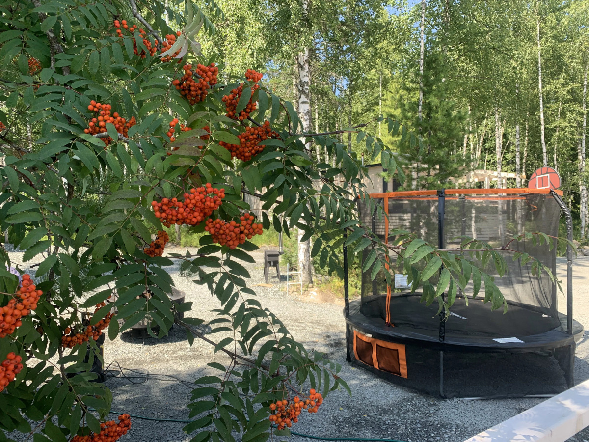 Гостевой Дом Брусника № 1