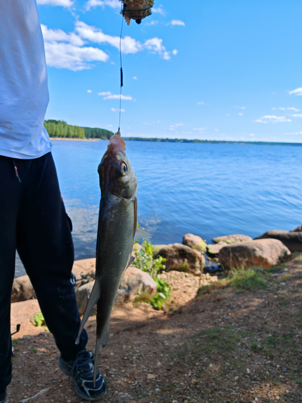 Апартаменты Отдых на Селигере турбаза Чайка