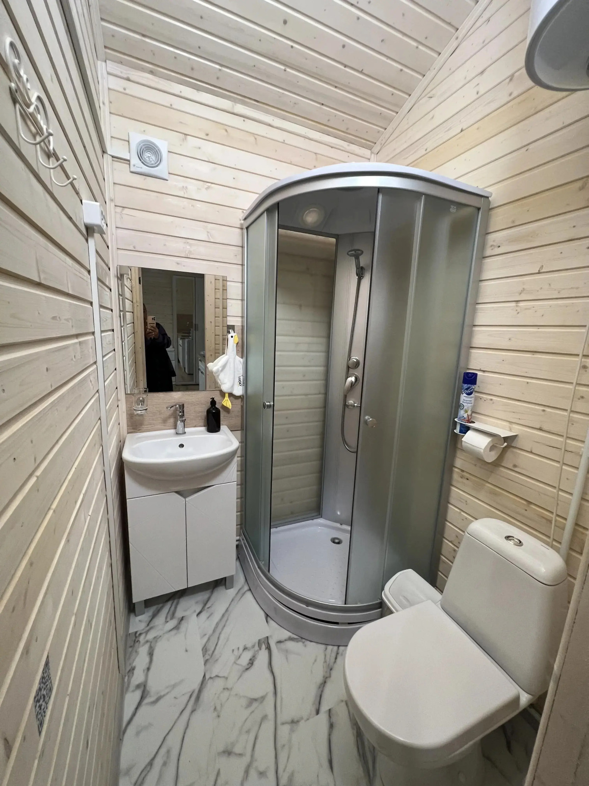 Частный дом Веселые гуси 4