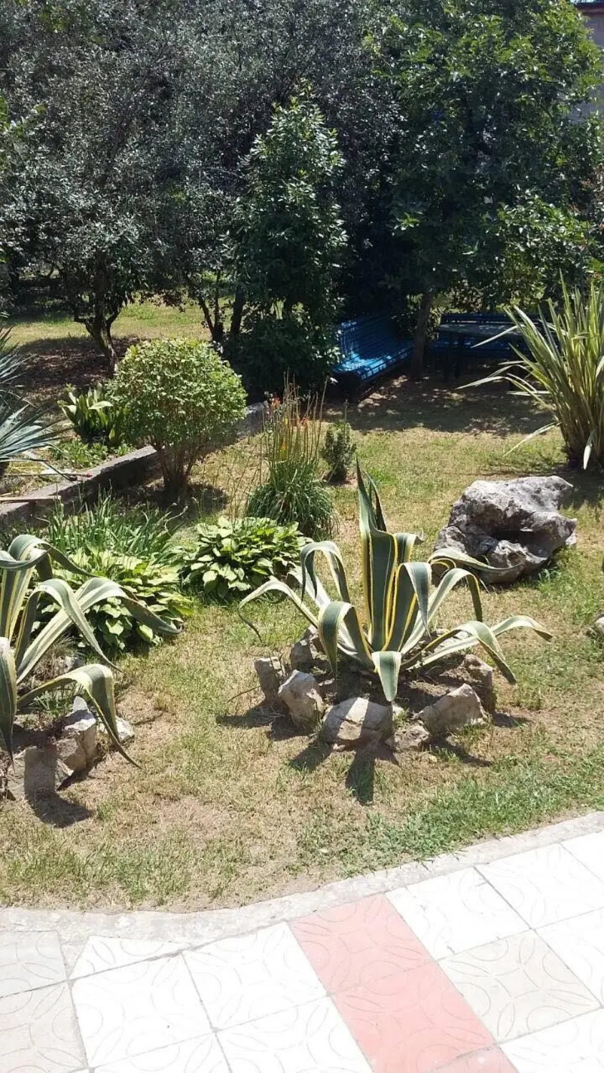 Частный дом Dali