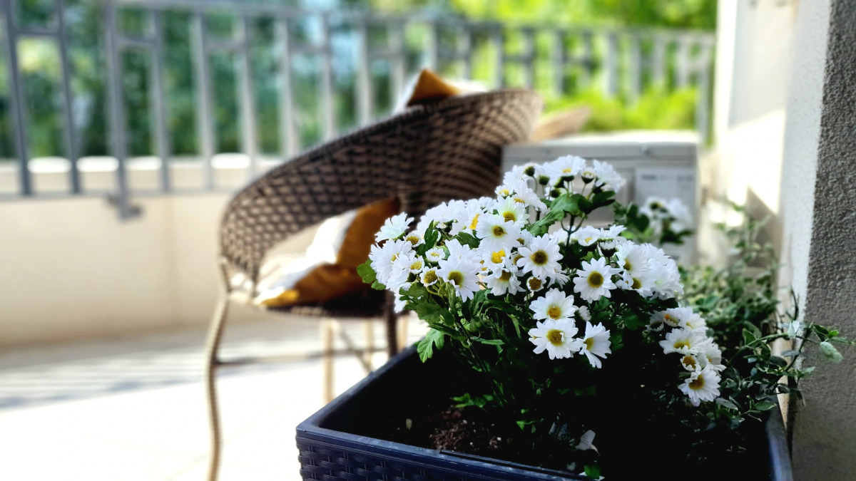 Апартаменты с Террасой и SPA Baden-Baden