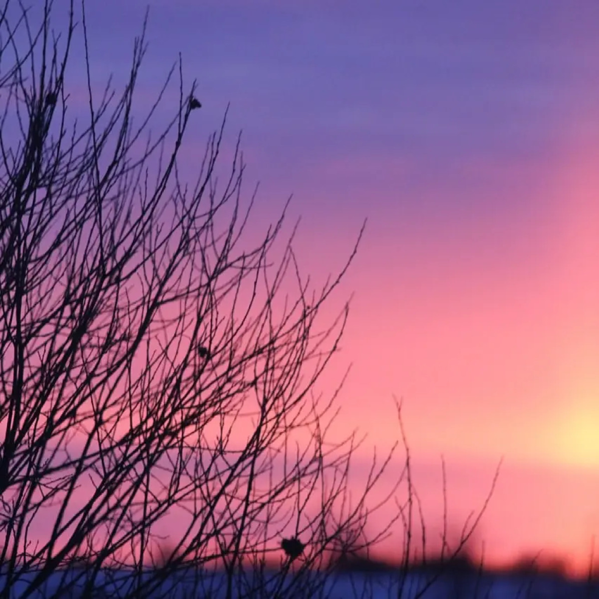 Гостевой дом Советов на Вазузе