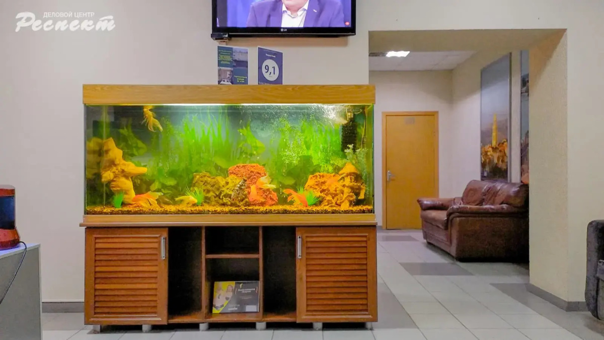 Мини-отель Respect