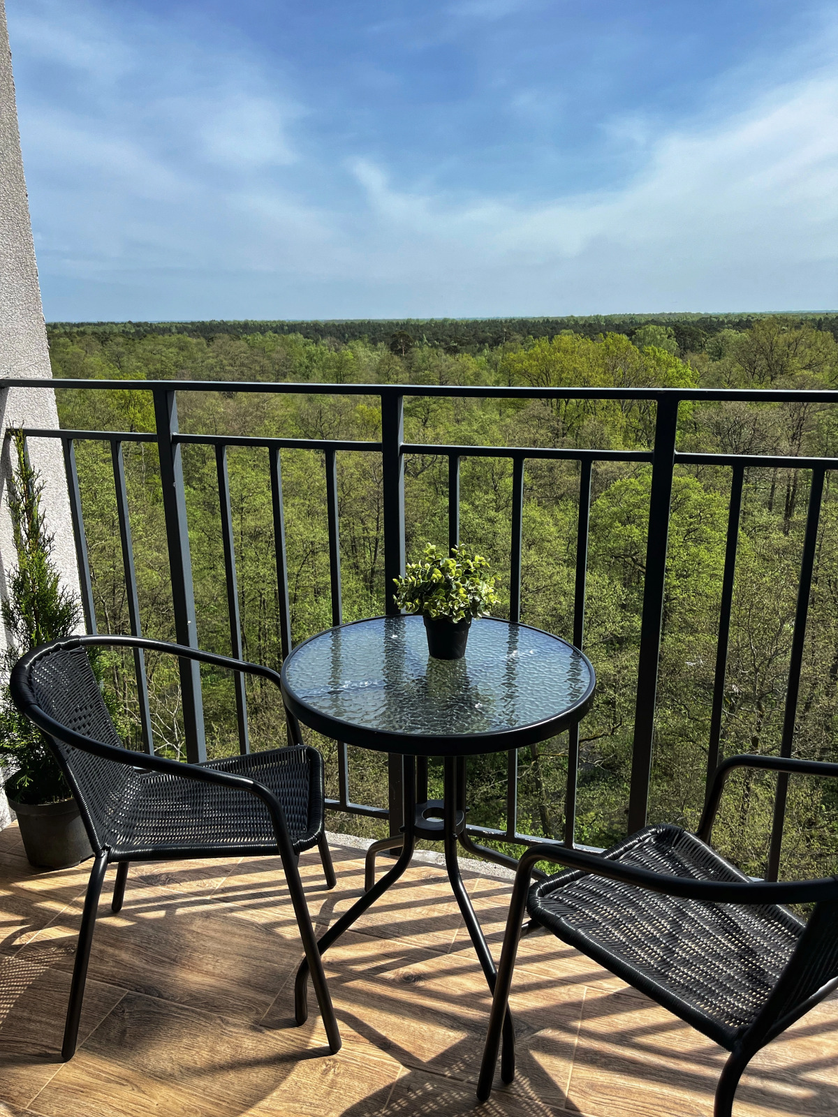 Квартира Forest Apart