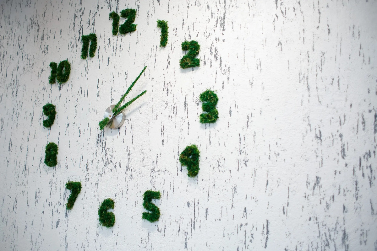 База отдыха Широкая