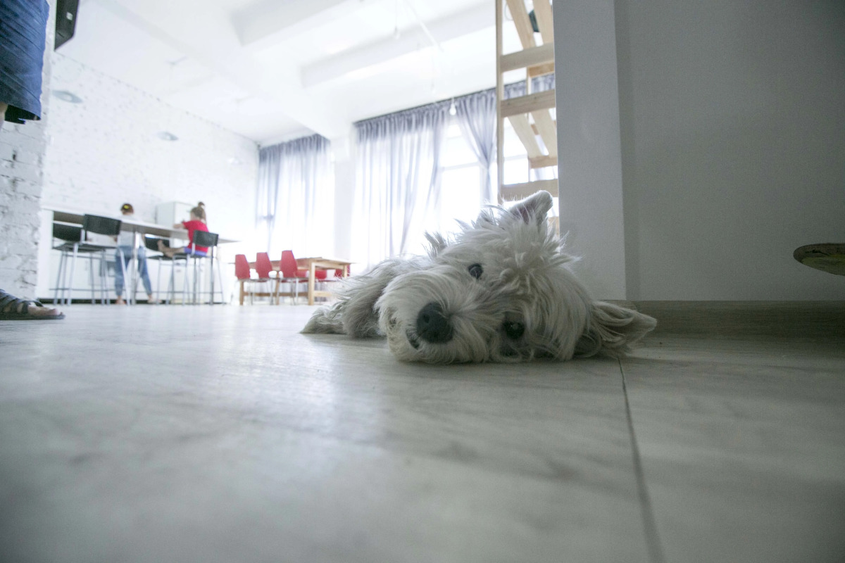 Хостел Bla Bla  Rostov