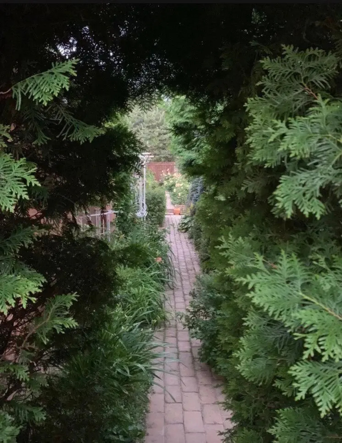 Вилла Ларсон