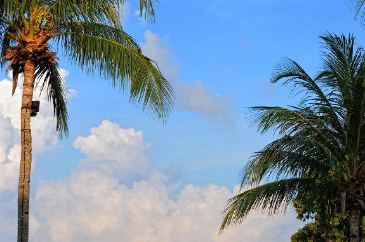 Курортный отель Holiday Villa Resort & Beachclub Langkawi