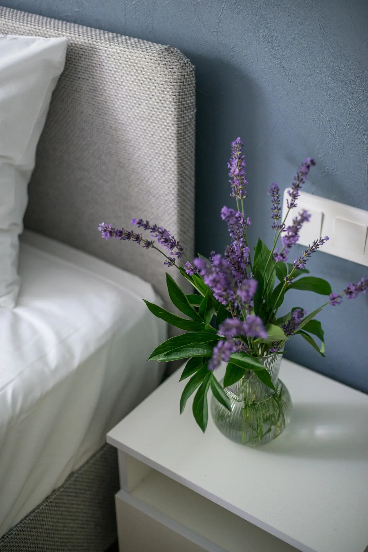 Апартаменты Круиз