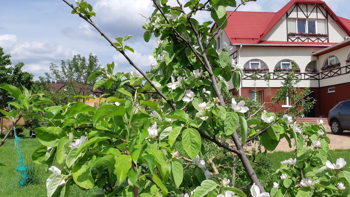Гостевой дом на Есенина