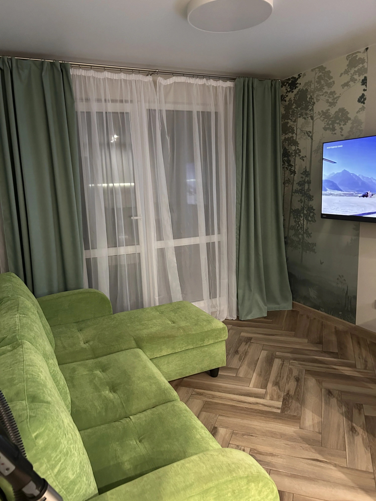 Квартира Ёлки зелёные в тихом центре Петрозаводска