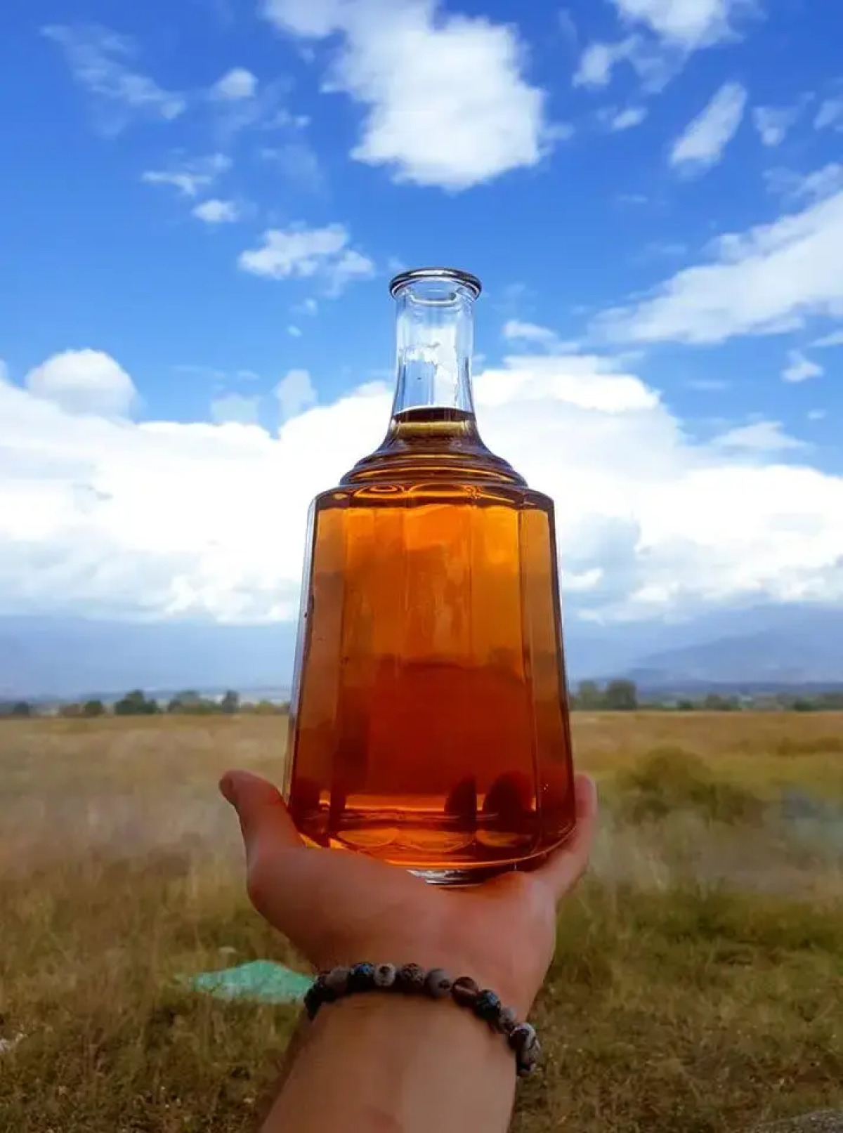 Гостевой Дом Green House Telavi