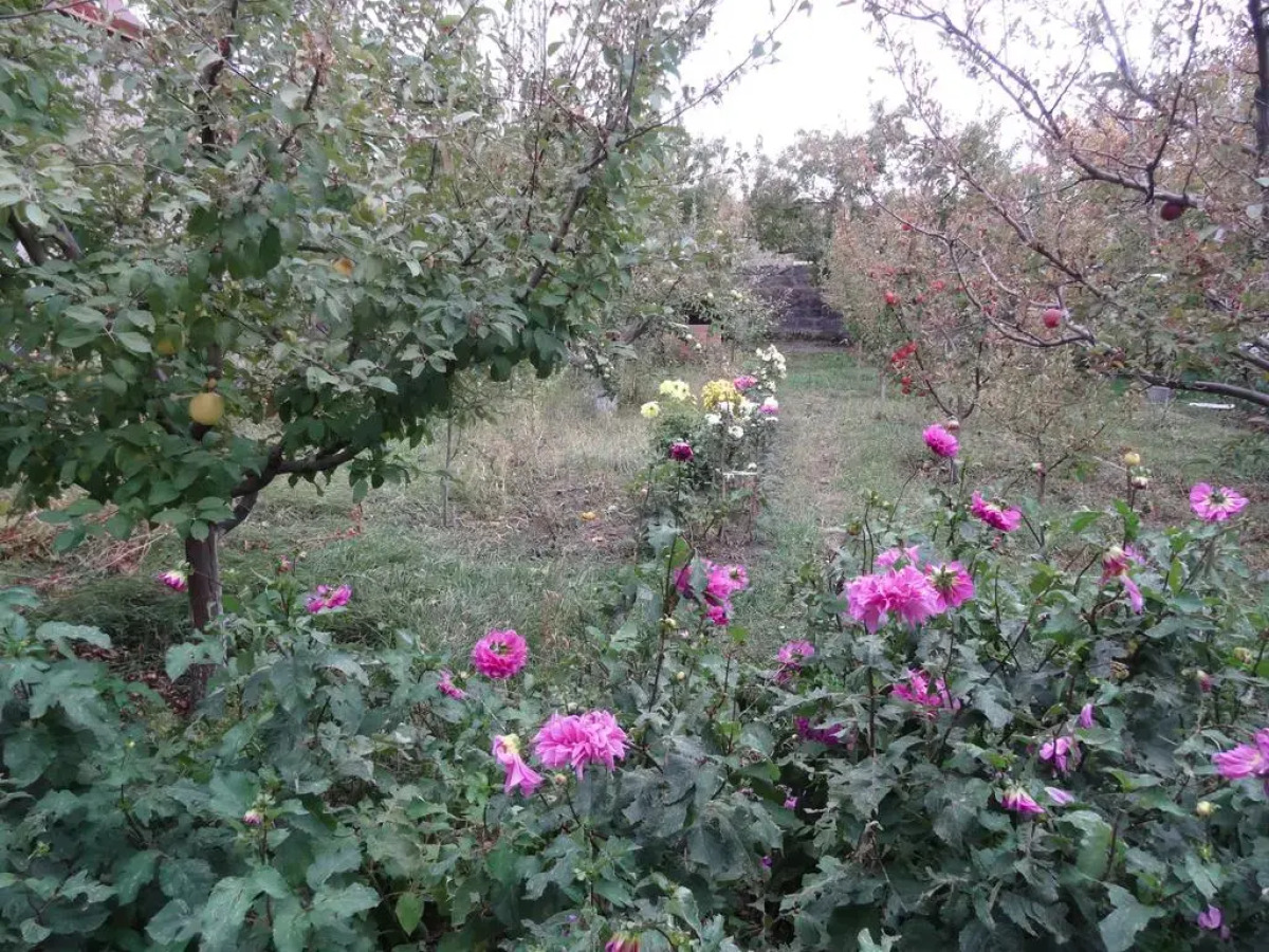 Хостел Artush & Raisa B&B