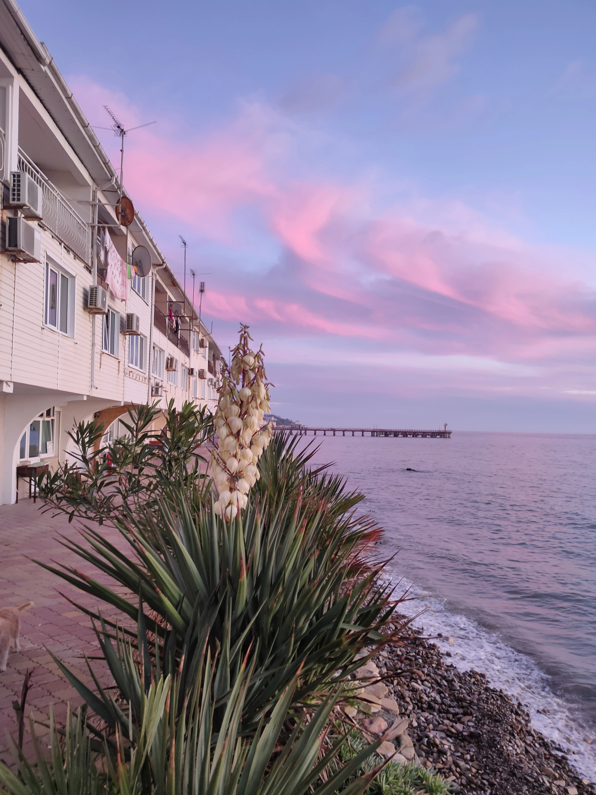 Sharm Elling  Loo Guest house