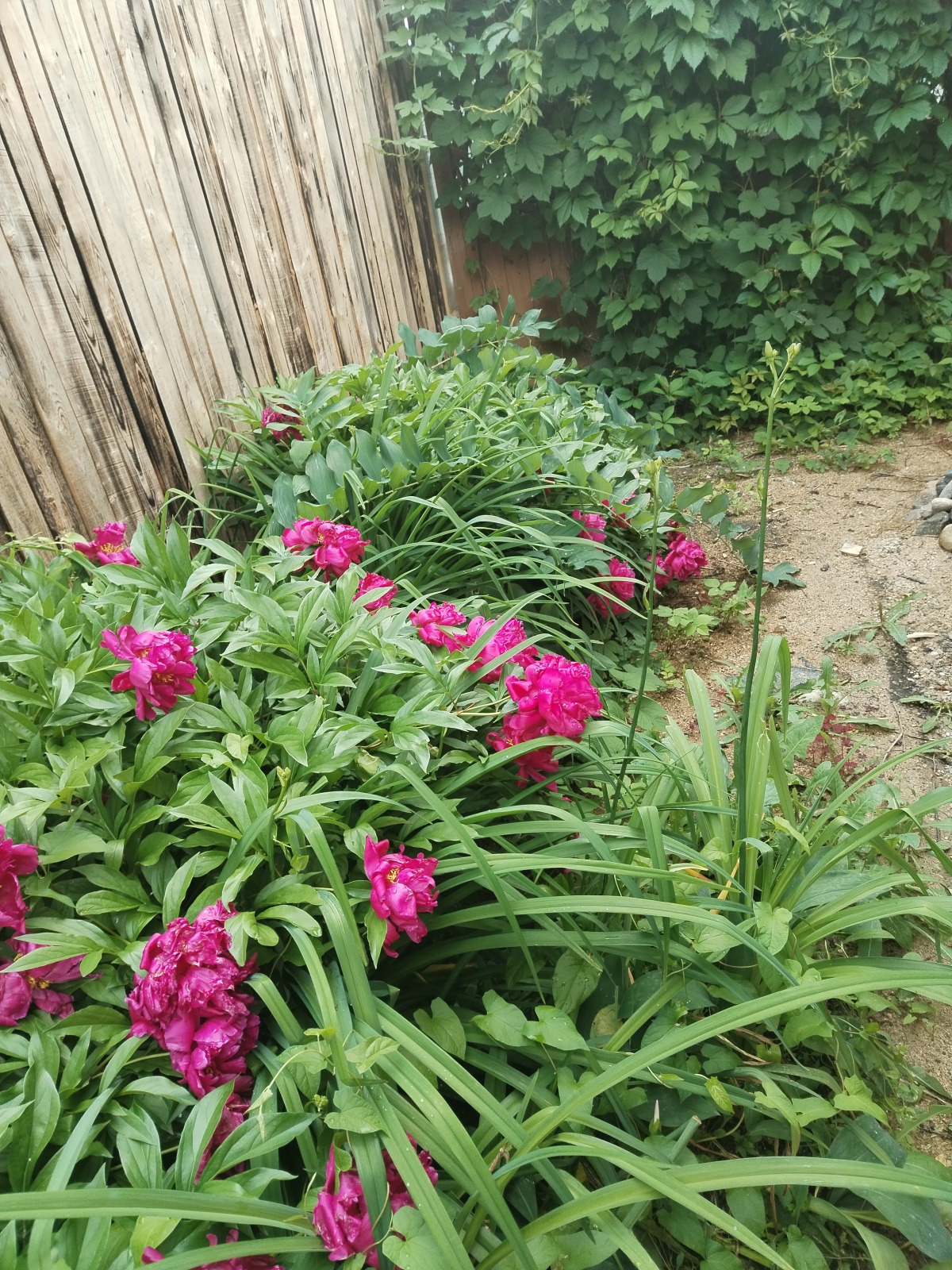 Бунгало Пляжный домик