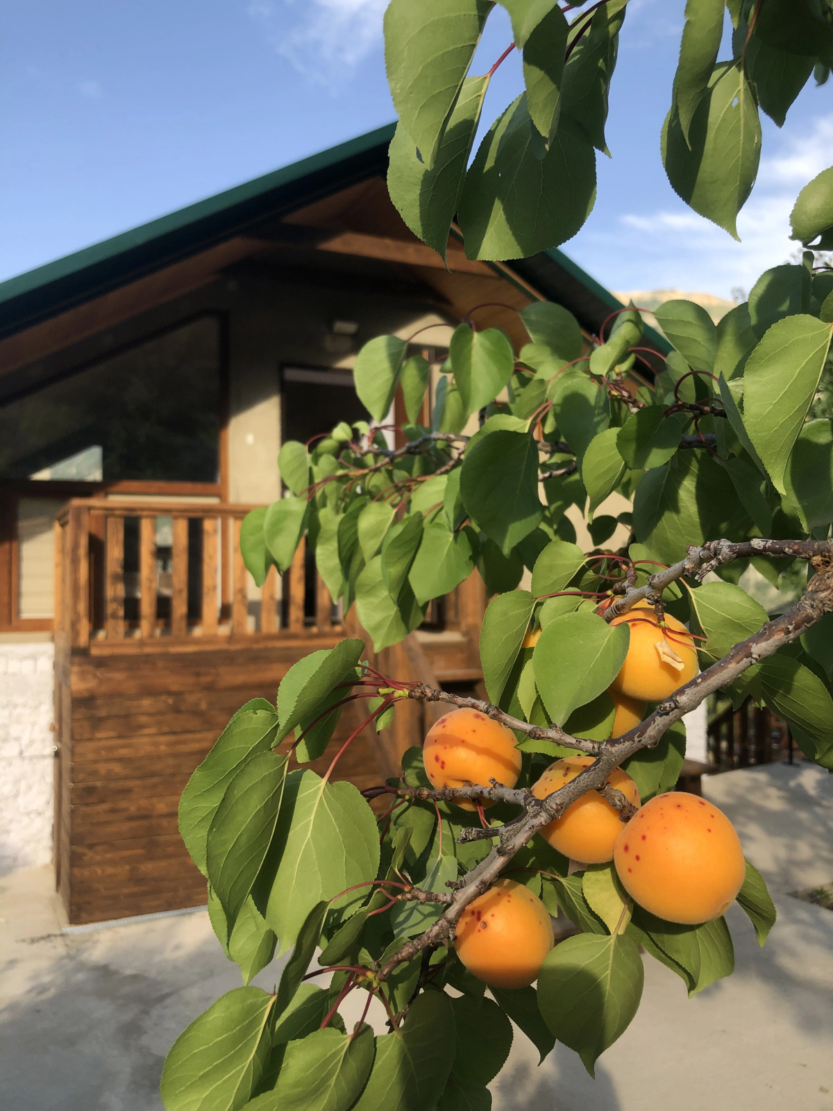 Гостевой Дом Домик В Гунибе