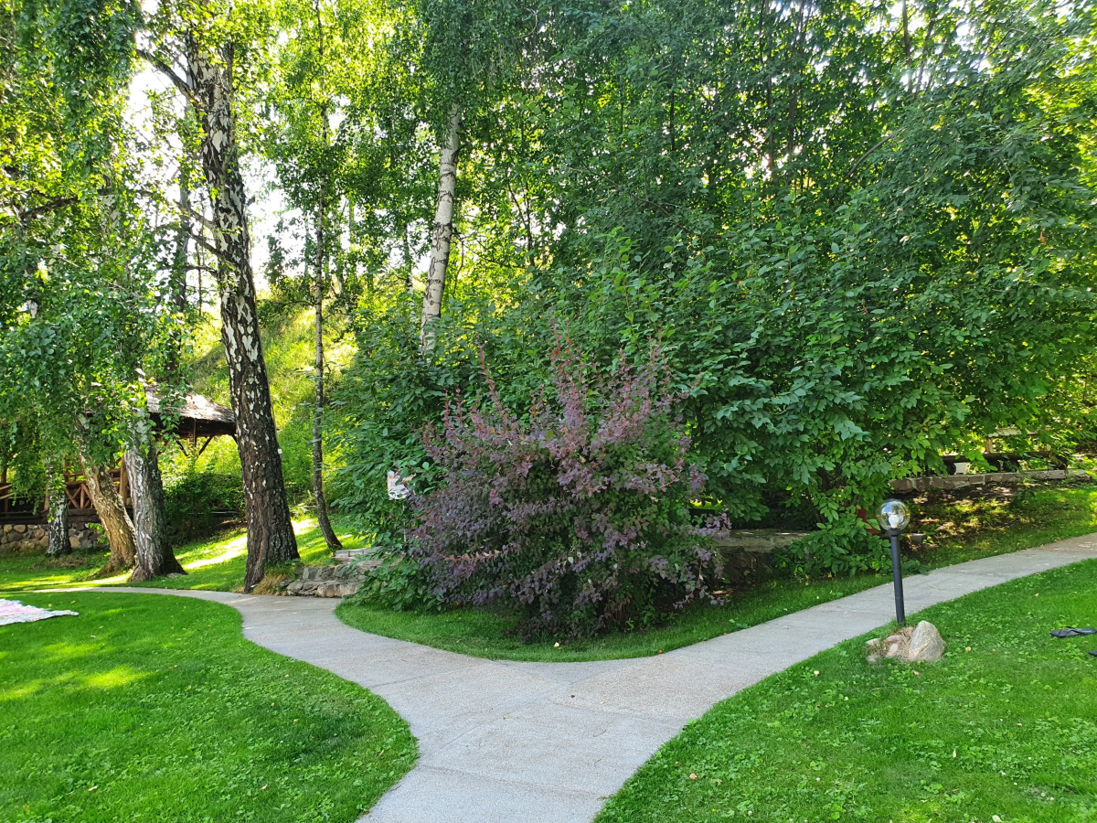 Гостевой Дом Каменный Цветок