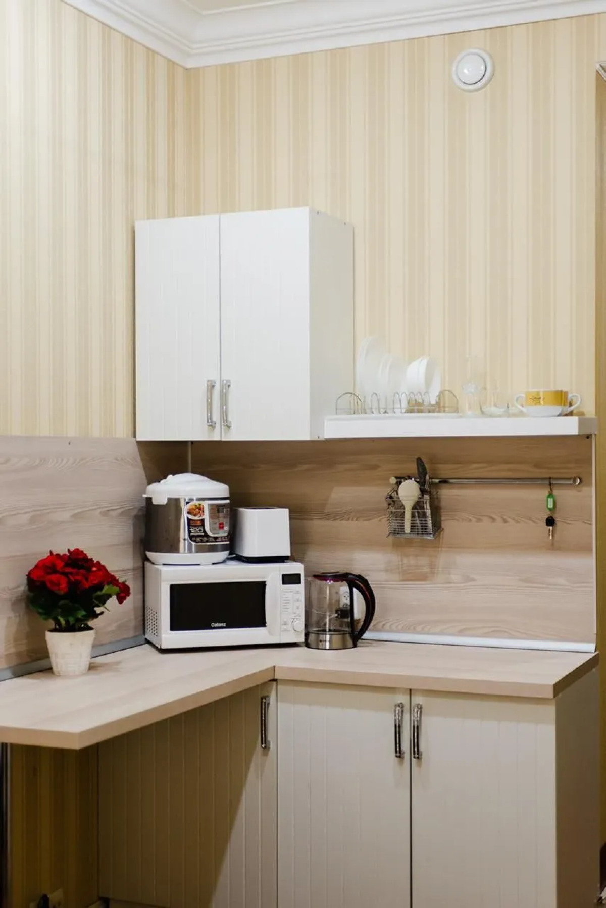 Апартаменты Козицкий переулок 1А (02)