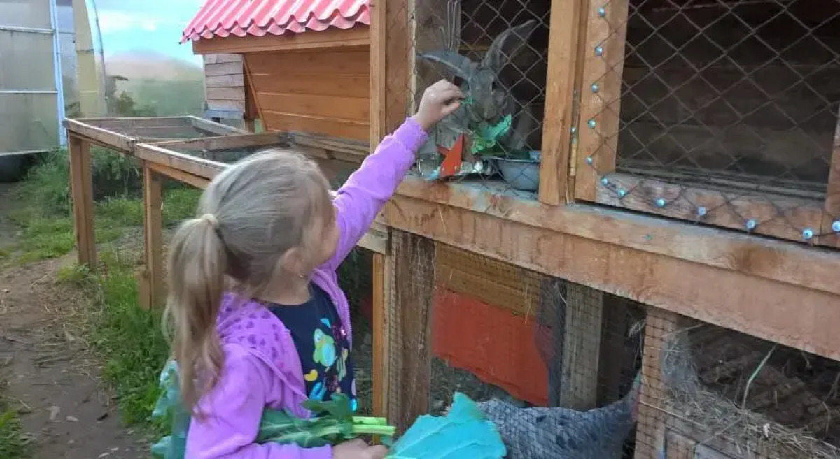 Мини-Отель Усадьба Марьина Роща