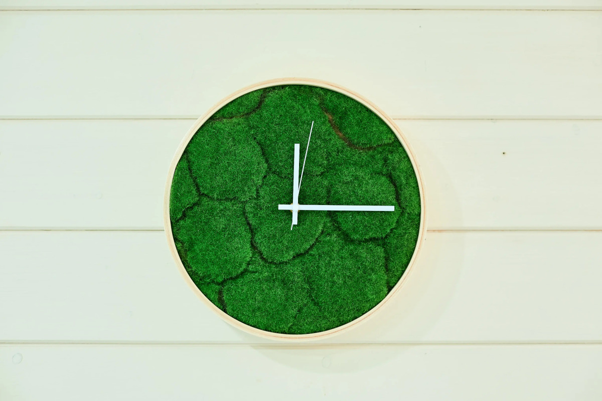 Частный Дом Родниковая 41