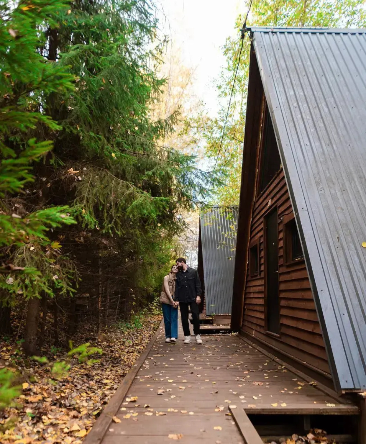 База отдыха Вежи Волжские