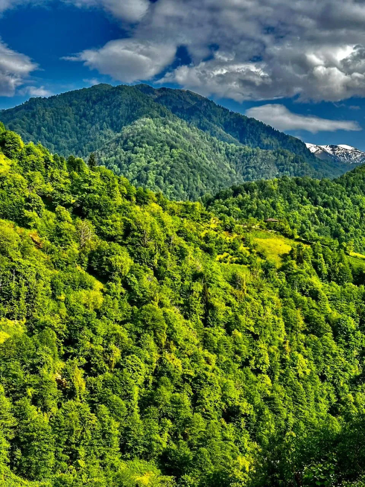 Chalet GreenWood Cottages Merisi