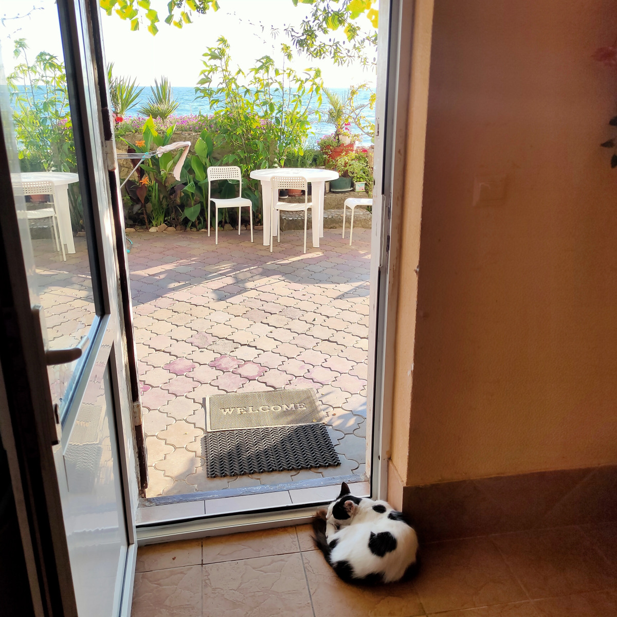 Sharm Elling  Loo Guest house